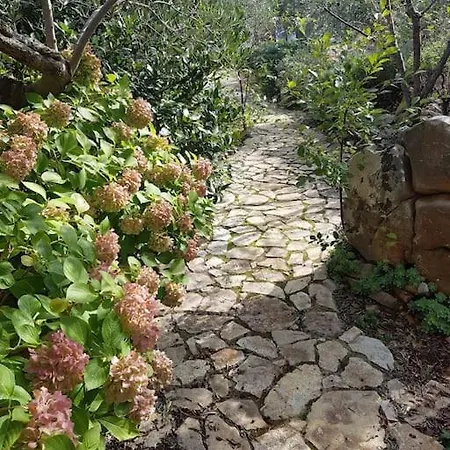 Villa Stone Olea - House In Olive Grove *