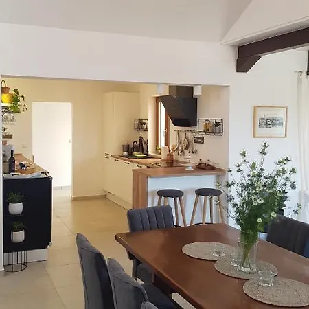 Stone Olea - House In Olive Grove