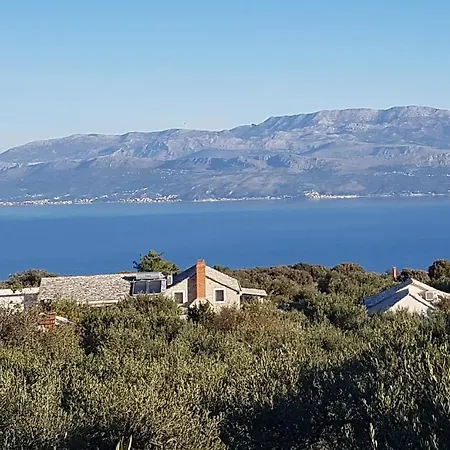 Stone Olea - House In Olive Grove