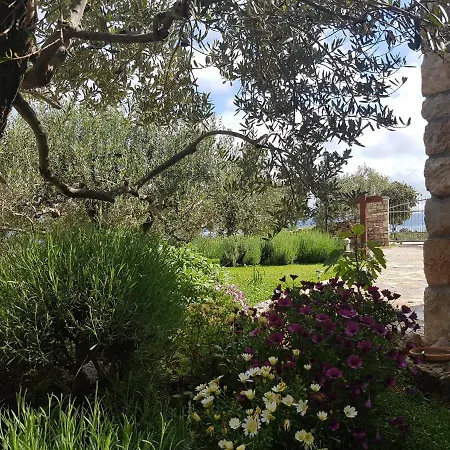 Villa Stone Olea - House In Olive Grove Supetar
