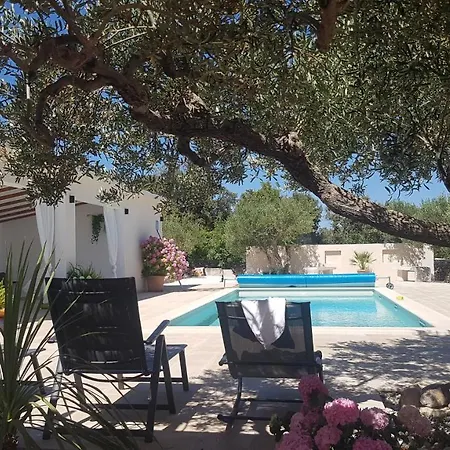 Villa Stone Olea - House In Olive Grove