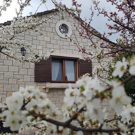 Stone Olea - House In Olive Grove