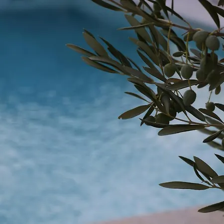 Villa Stone Olea - House In Olive Grove *